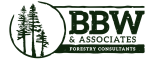 BBW & Associates